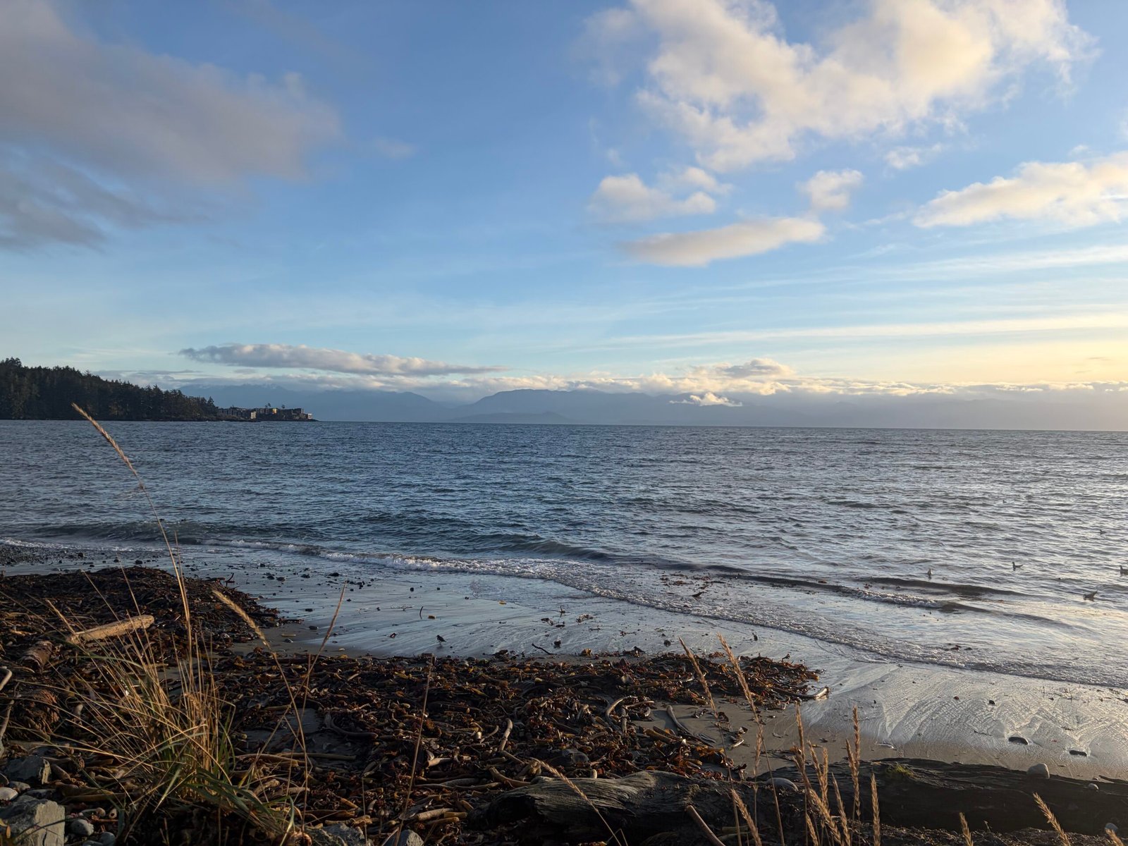 Sooke