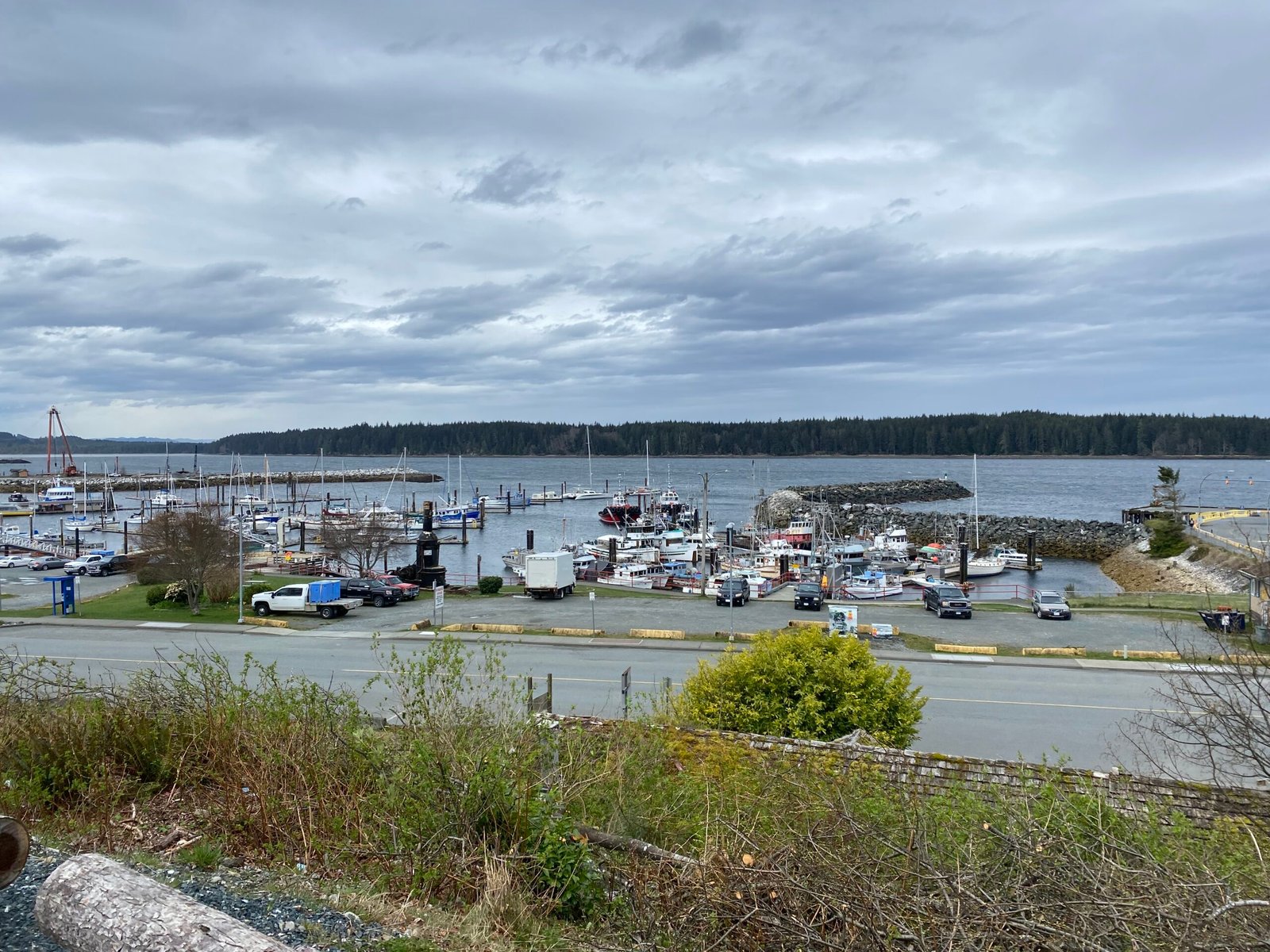 Port McNeill